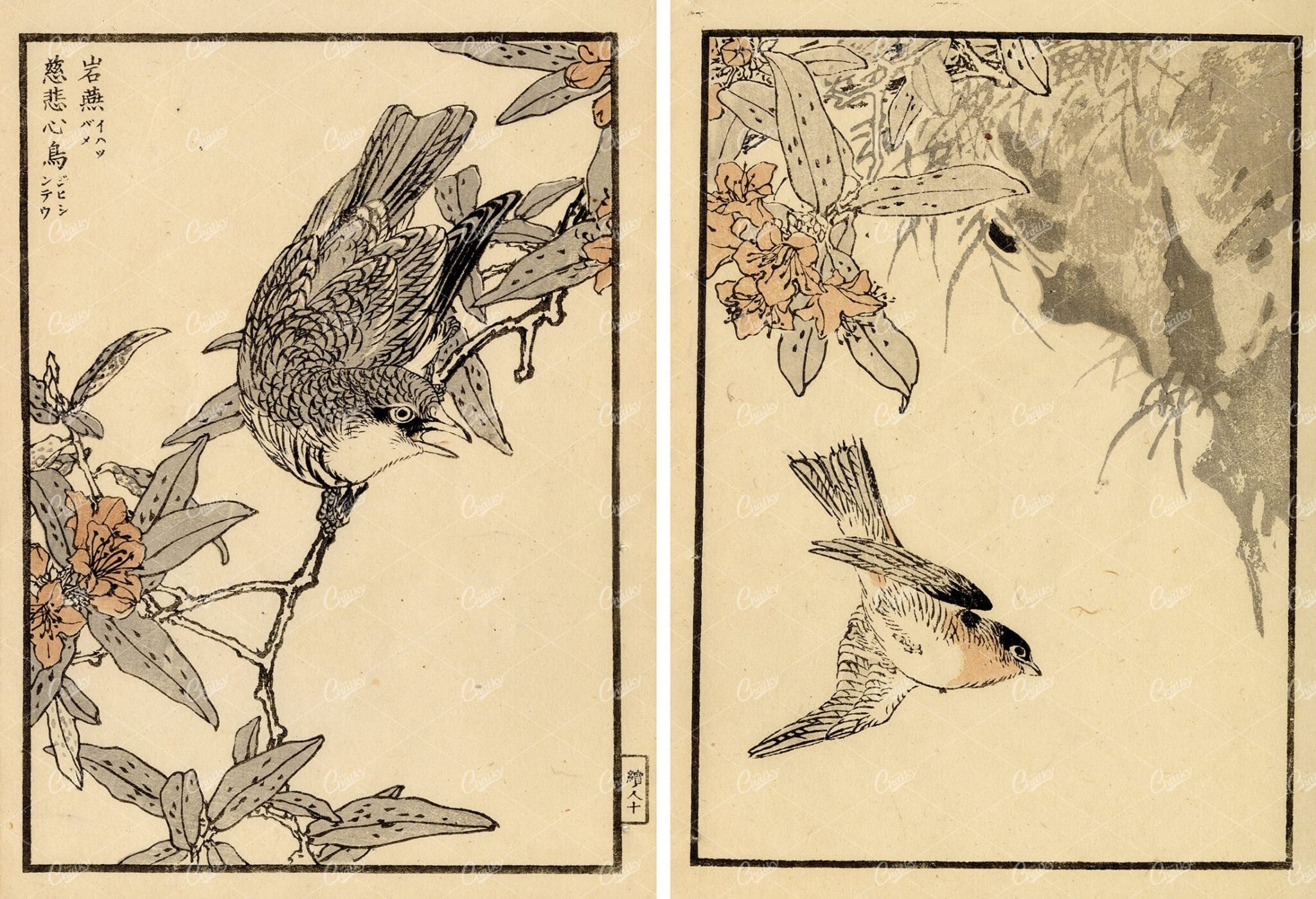 ANTIQUE Kono Bairei Wood Block Japanese Prints 1881 Bird on Branch