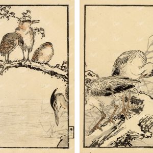 ANTIQUE Kono Bairei Woodblock Japanese Prints 1881 Herons in Tree