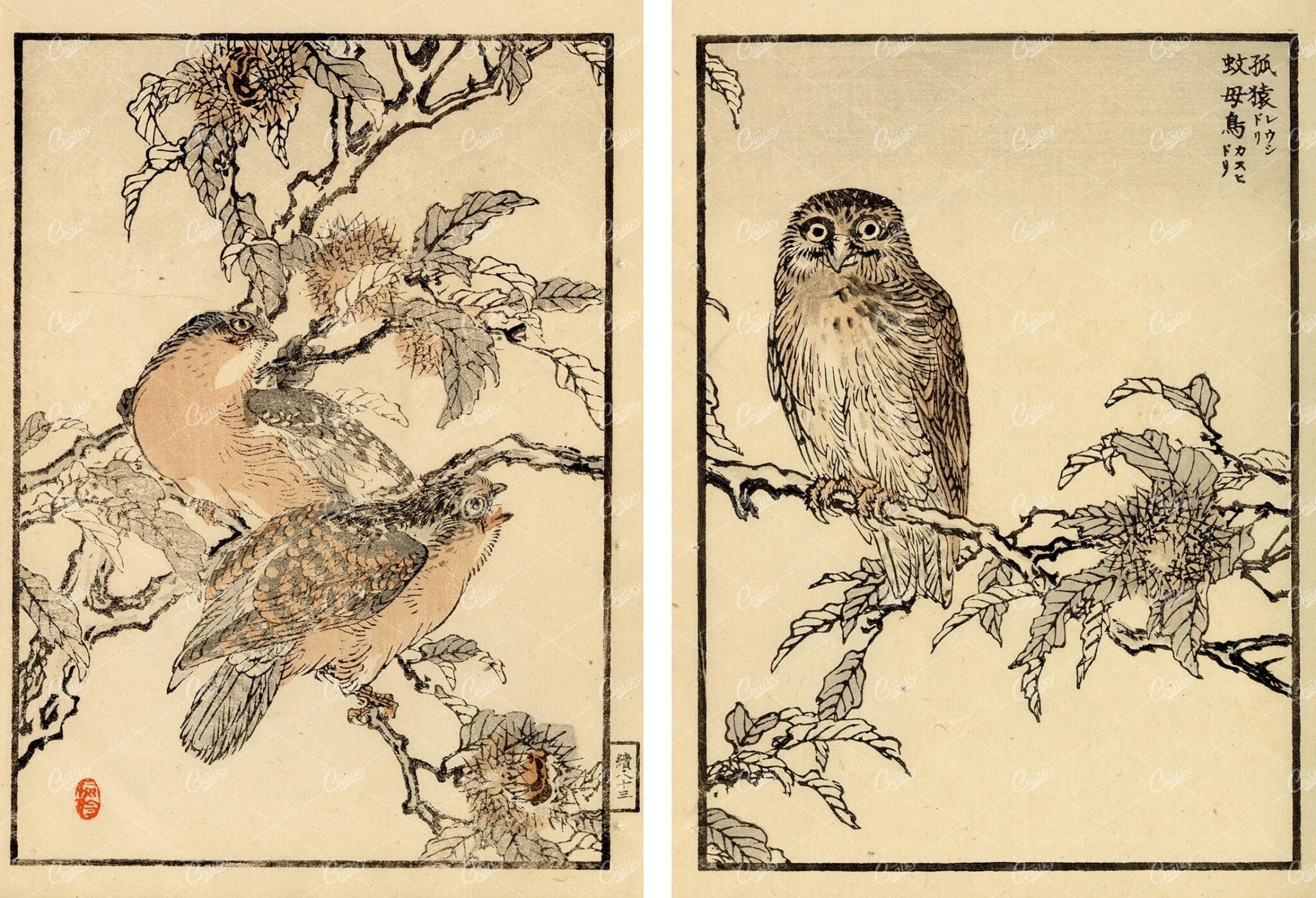 ANTIQUE Kono Bairei Wood Block Japanese Art Prints 1881 Owls in Tree