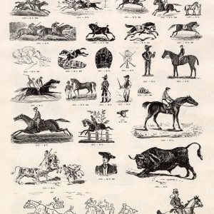 VIGNETTE Horse Racing and Bull Fighting Illustrations - Vintage Stock Image Sheet