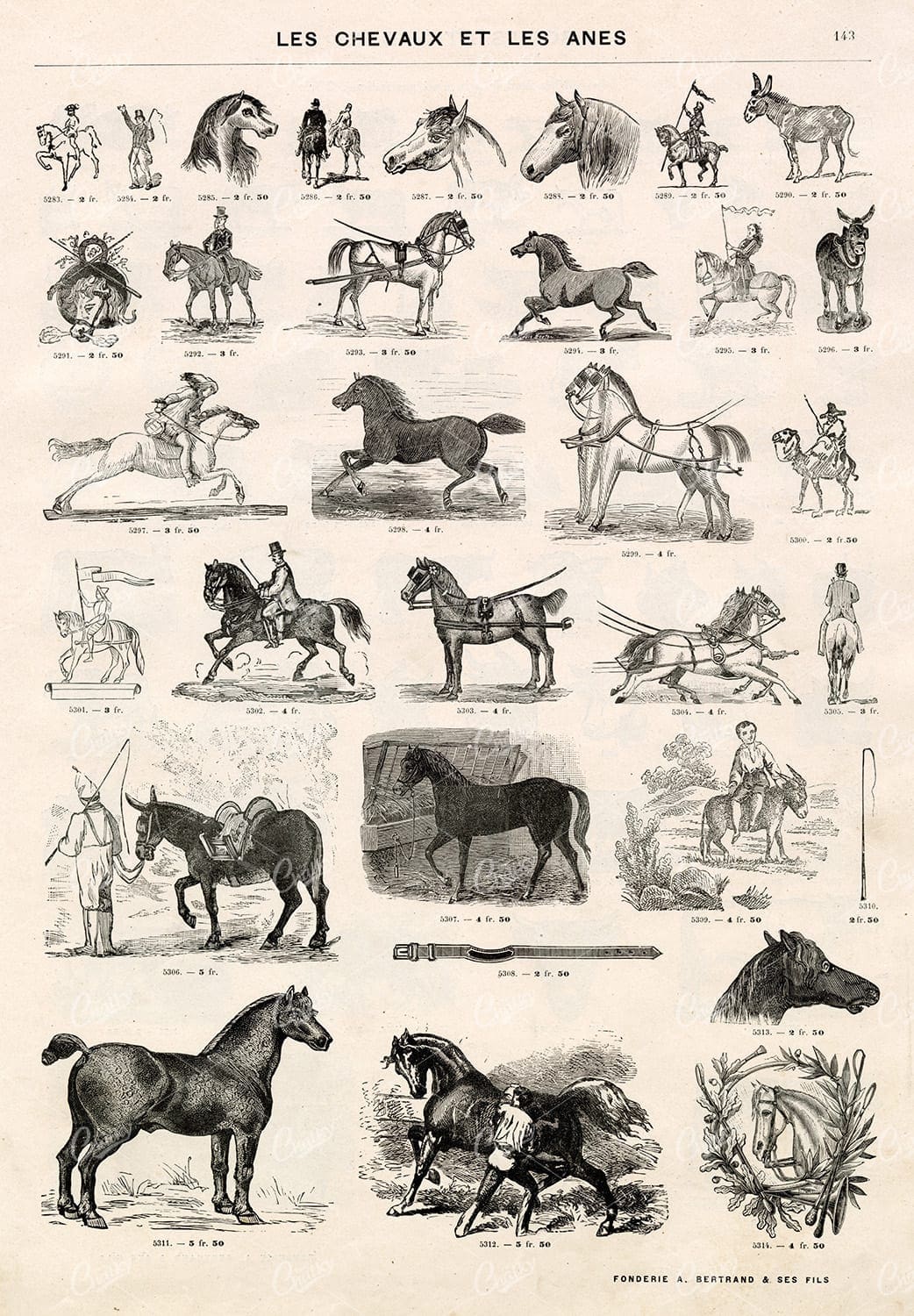 VIGNETTE Horse Illustrations - Vintage Stock Image Sheet