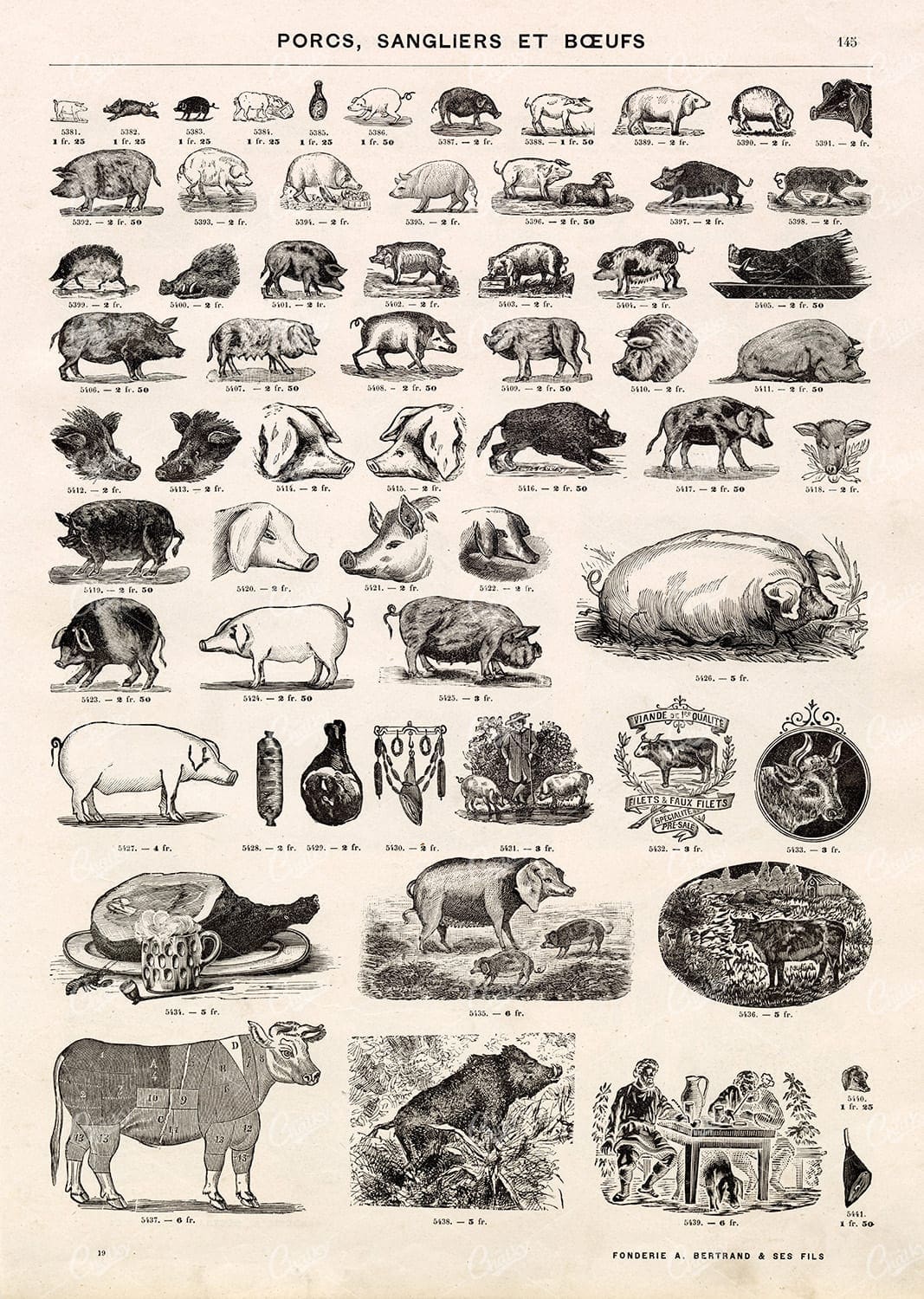 VIGNETTE Pig Illustrations - Vintage Stock Artwork