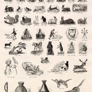 MISCELLANEOUS Sheet of Vignette Animal / Wildlife Illustrations - 1800's Vintage Stock Art