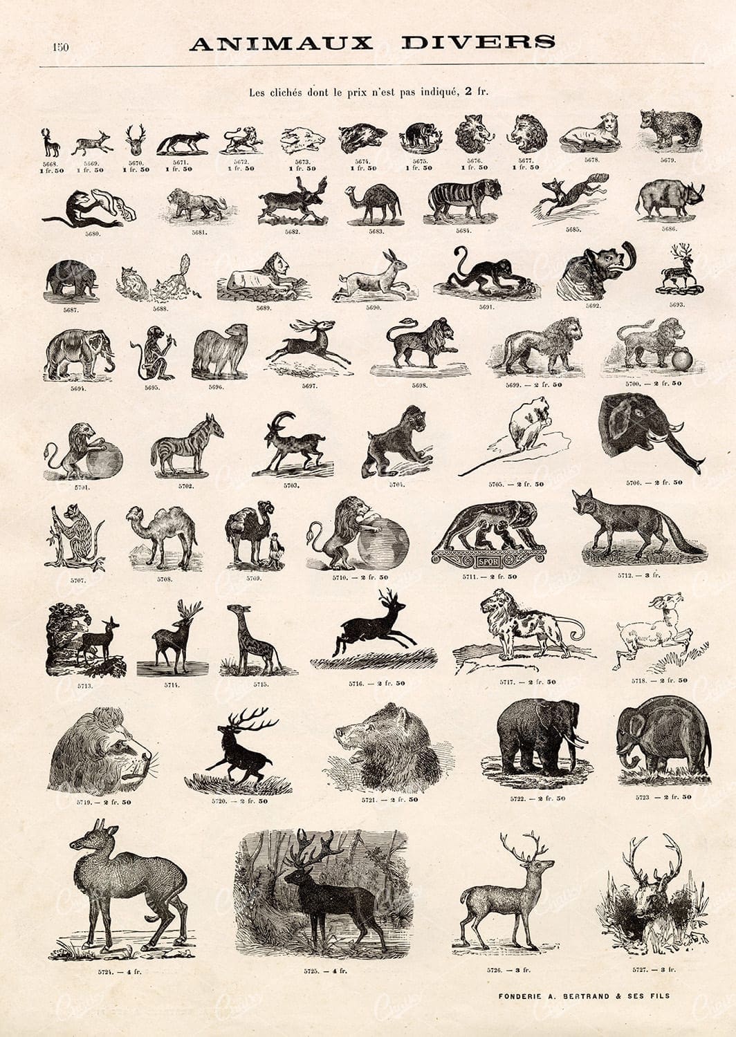 MISCELLANEOUS Sheet of Vignette Animal / Wildlife Illustrations - 1800's Vintage Stock Art