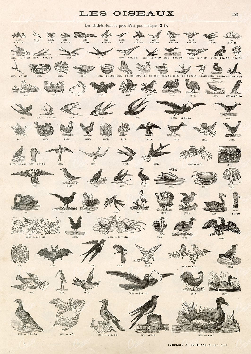 VIGNETTE Bird Illustrations - Vintage Stock Artwork