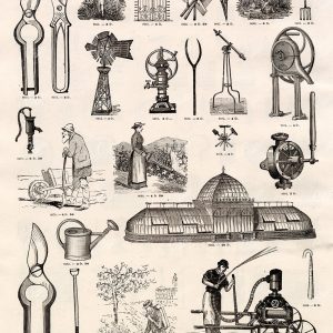 AGRICULTURE - A Miscellaneous Selection of Vintage Gardening Illustrations