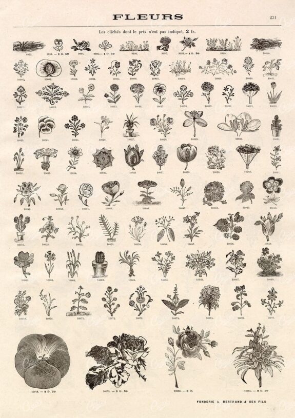 BOTANICAL - A Miscellaneous Selection of Vintage Flower Illustrations
