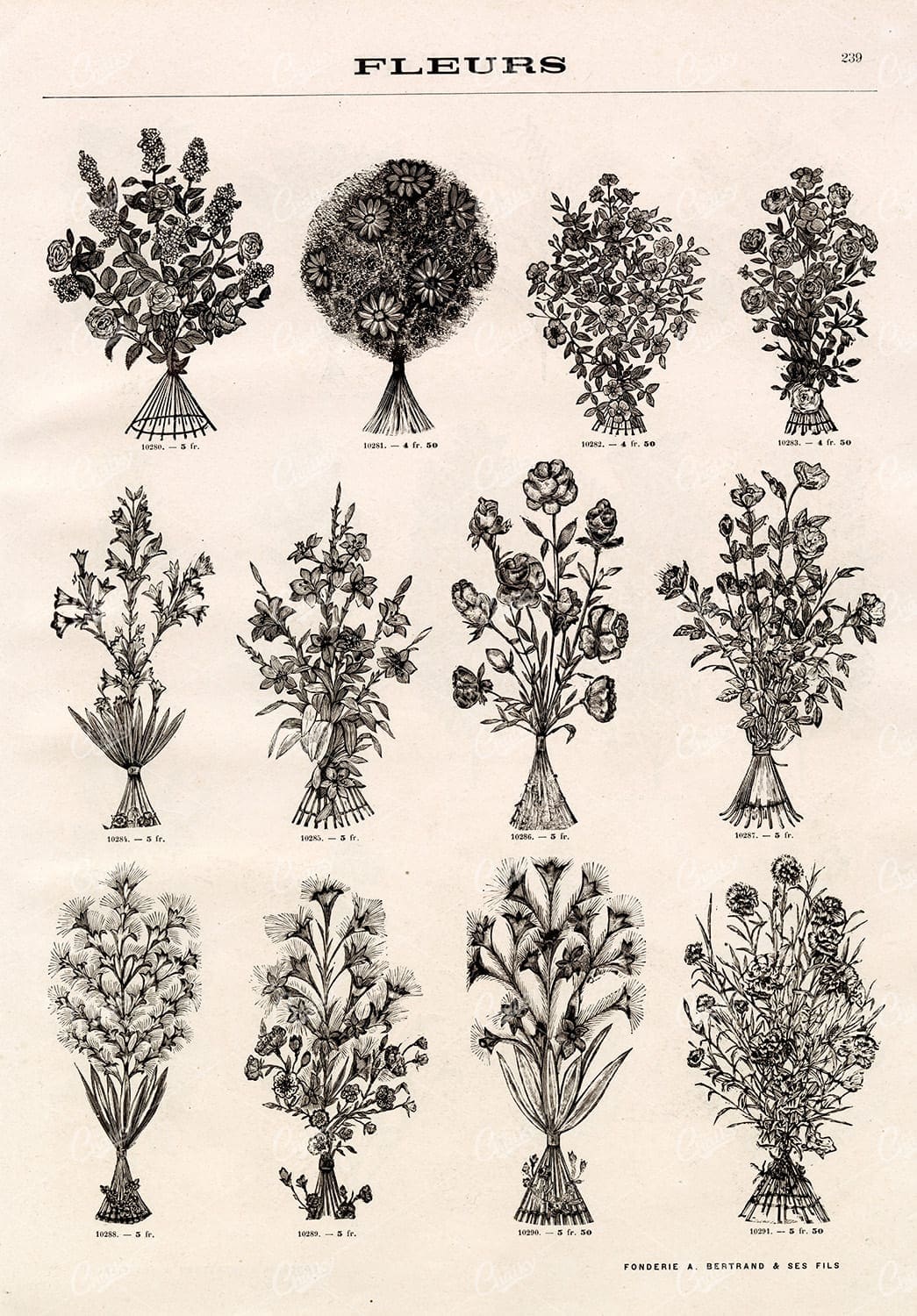 BOTANICAL - A Miscellaneous Selection of Vintage Flower Illustrations