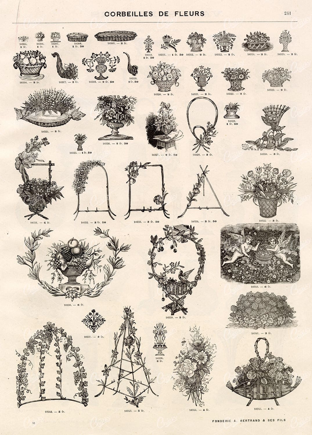 BOTANICAL - A Miscellaneous Selection of Vintage Flower Illustrations