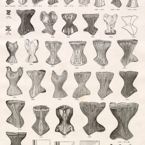 VINTAGE Selection of Ladies Corsets - Antique Fashion Stock Illustrations