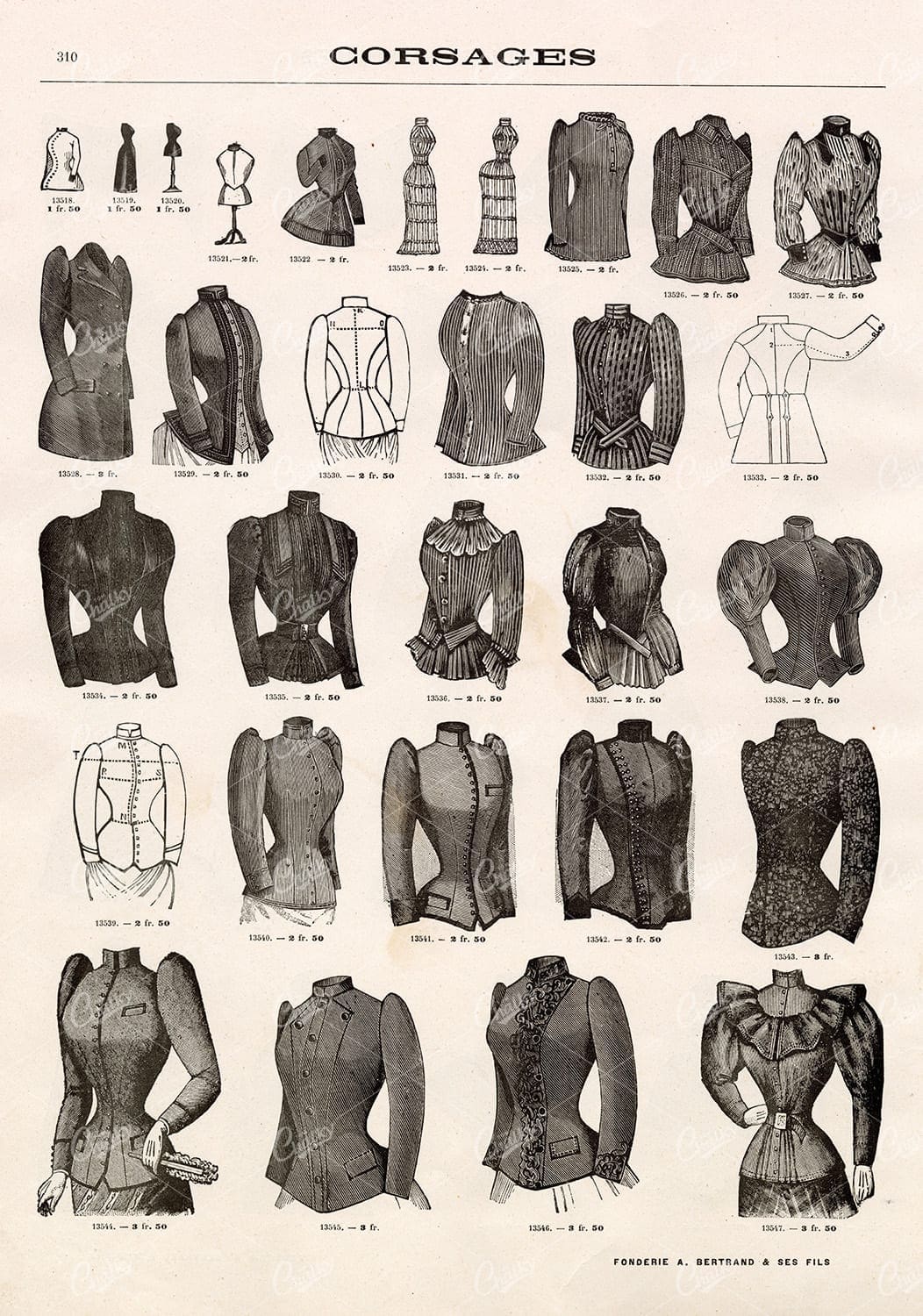 VINTAGE Selection of Ladies Corsages - Antique Fashion Stock Illustrations