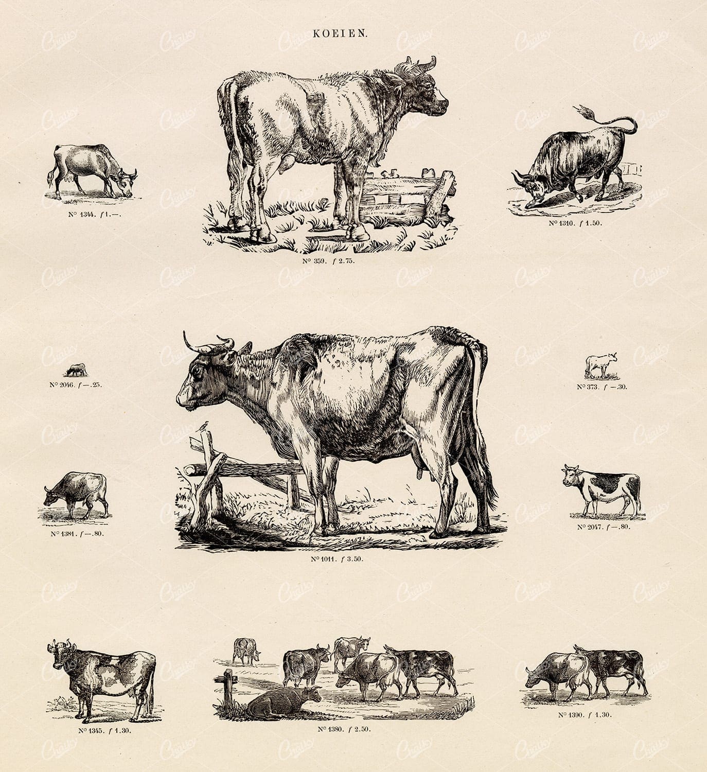 VINTAGE Selection of Cow Vignette Illustrations - Antique Stock Art