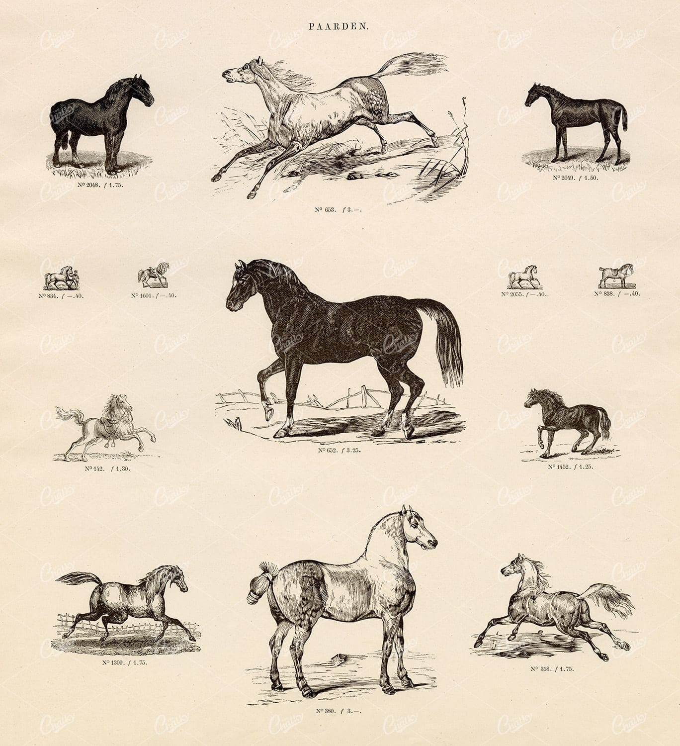 VINTAGE Selection of Horse Vignette Illustrations - Antique Stock Art