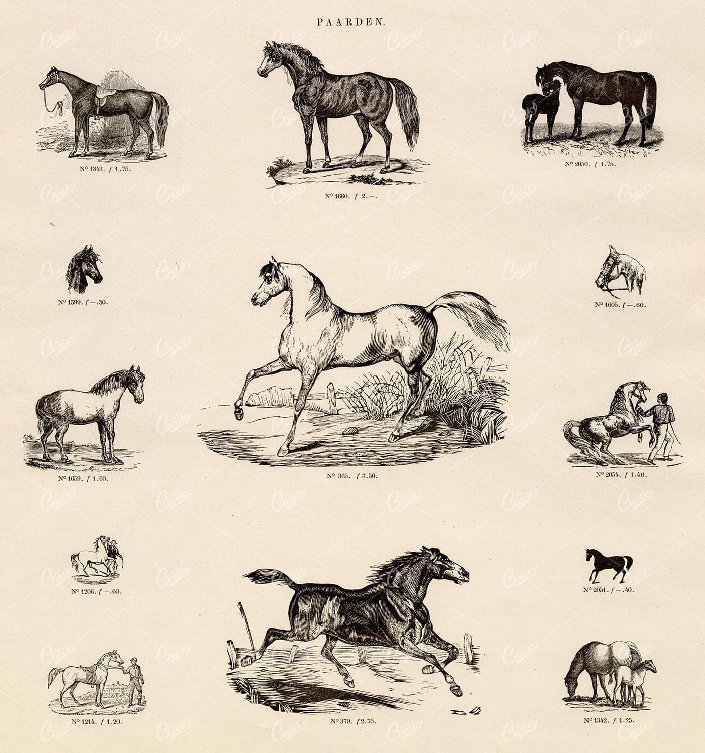 VINTAGE Selection of Horse Vignette Illustrations - Antique Stock Art