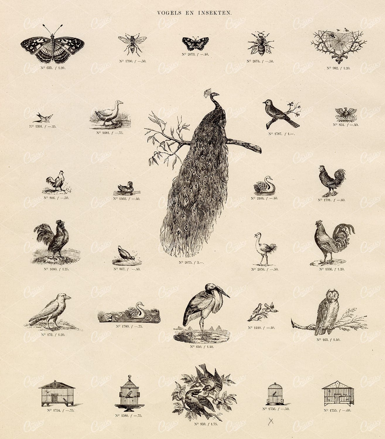 VINTAGE Selection of Birds and Insect Vignette Illustrations - Antique Stock Art