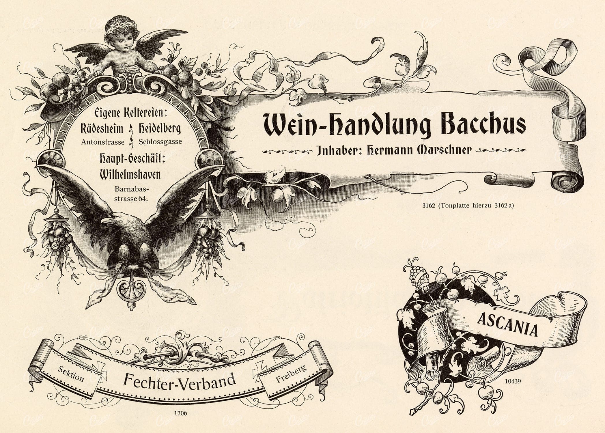 VINTAGE Decorative Design Elements - Ribbons and Banners for Type