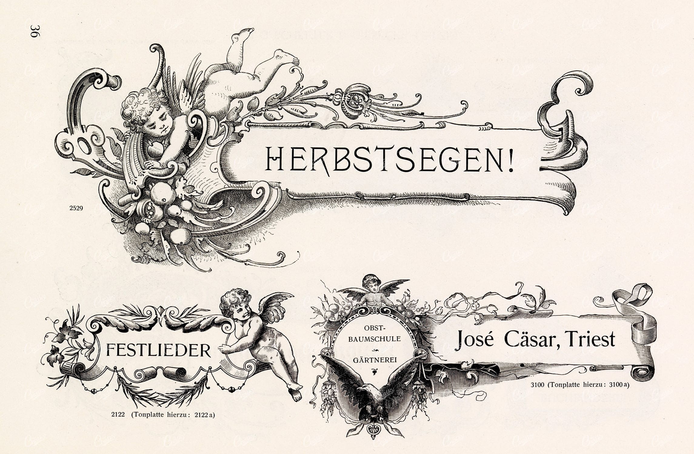 VINTAGE Decorative Design Elements - Ribbons and Banners for Type