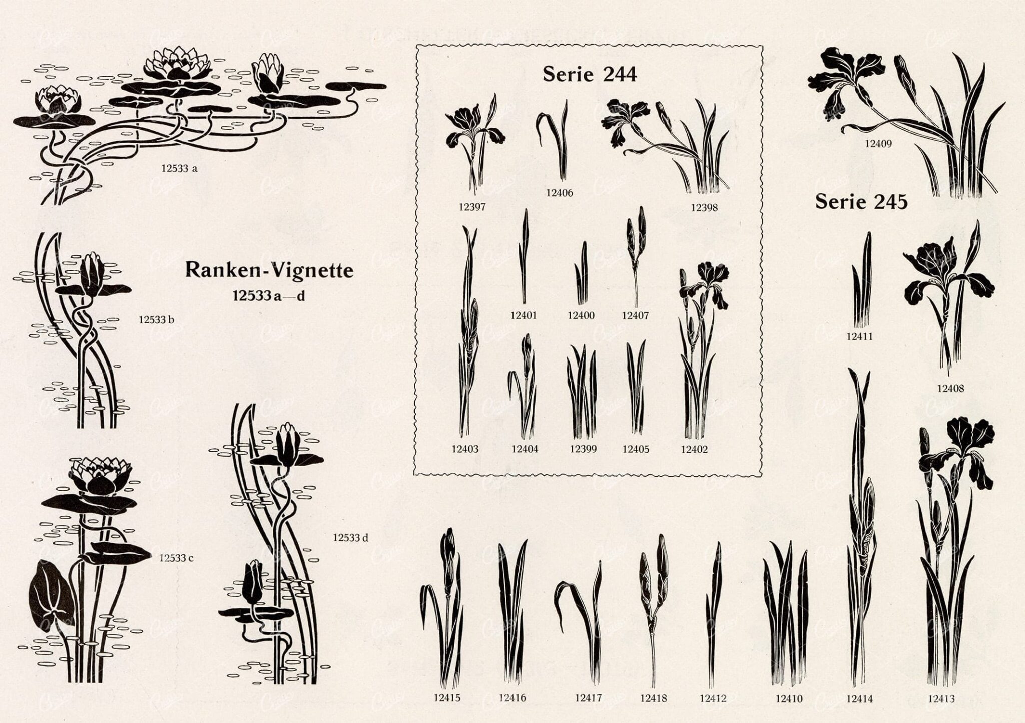 VINTAGE Decorative Design Elements - 1800s Floral Stock Illustrations