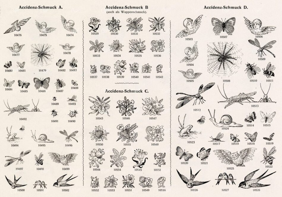 MISCELLANEOUS Selection of Vintage Animal Illustrations - Perfect for Print