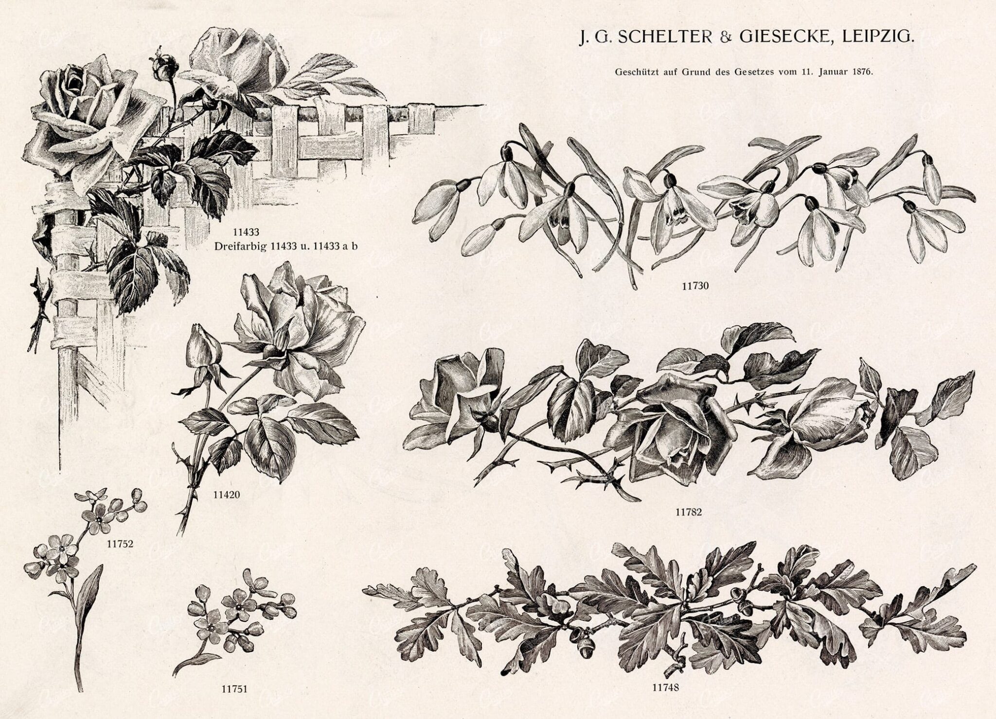 MISCELLANEOUS Selection of Vintage Design Elements - 1800s Antique Stock Artwork