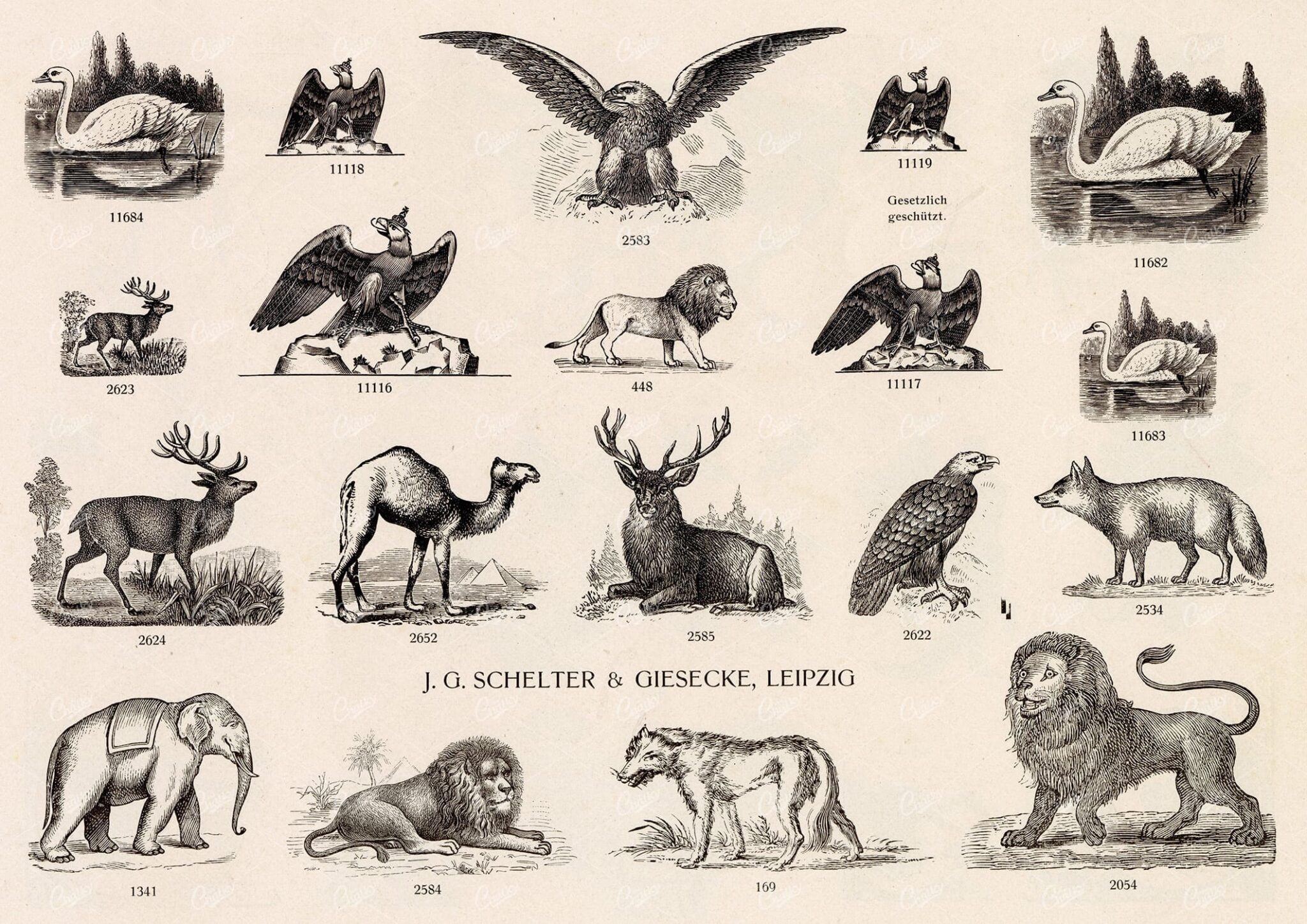 MISCELLANEOUS Selection of Vintage Wildlife Related Design Elements