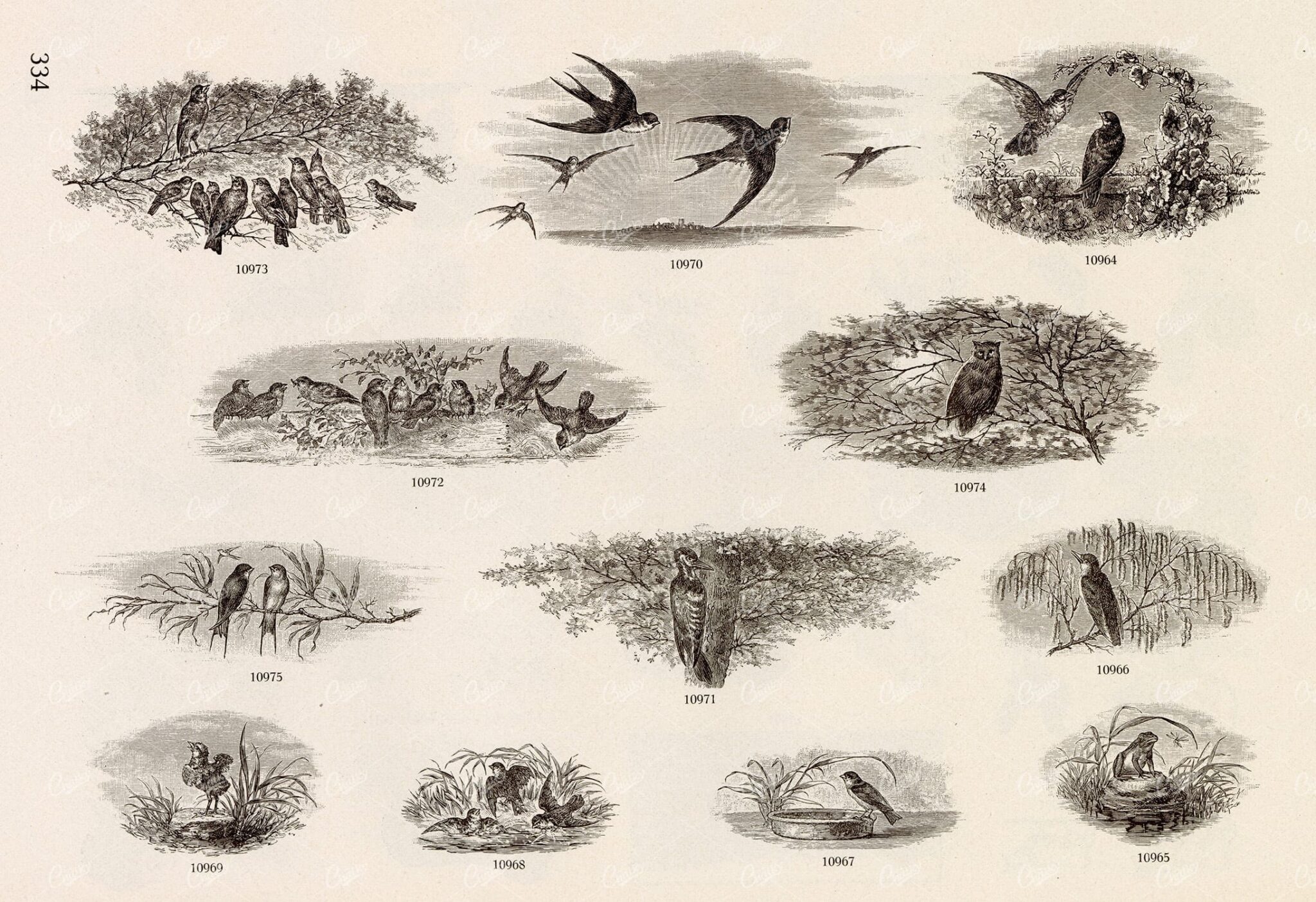 MISCELLANEOUS Selection of Vintage Wildlife Related Design Elements