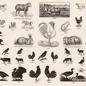 MISCELLANEOUS Selection of Vintage Farm Animals Related Design Elements