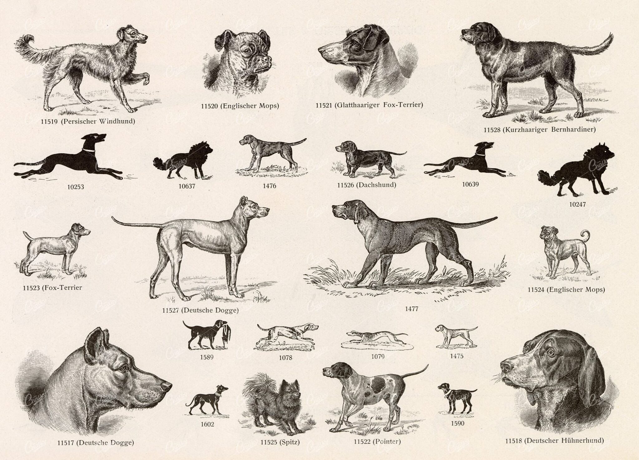 MISCELLANEOUS Selection of Vintage Dog Related Design Elements