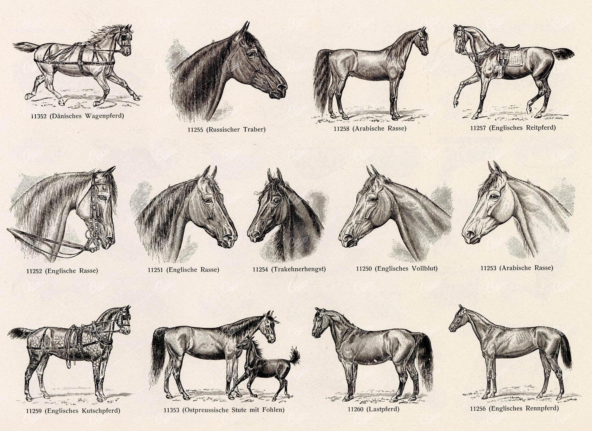 MISCELLANEOUS Selection of Vintage Horse Related Design Elements