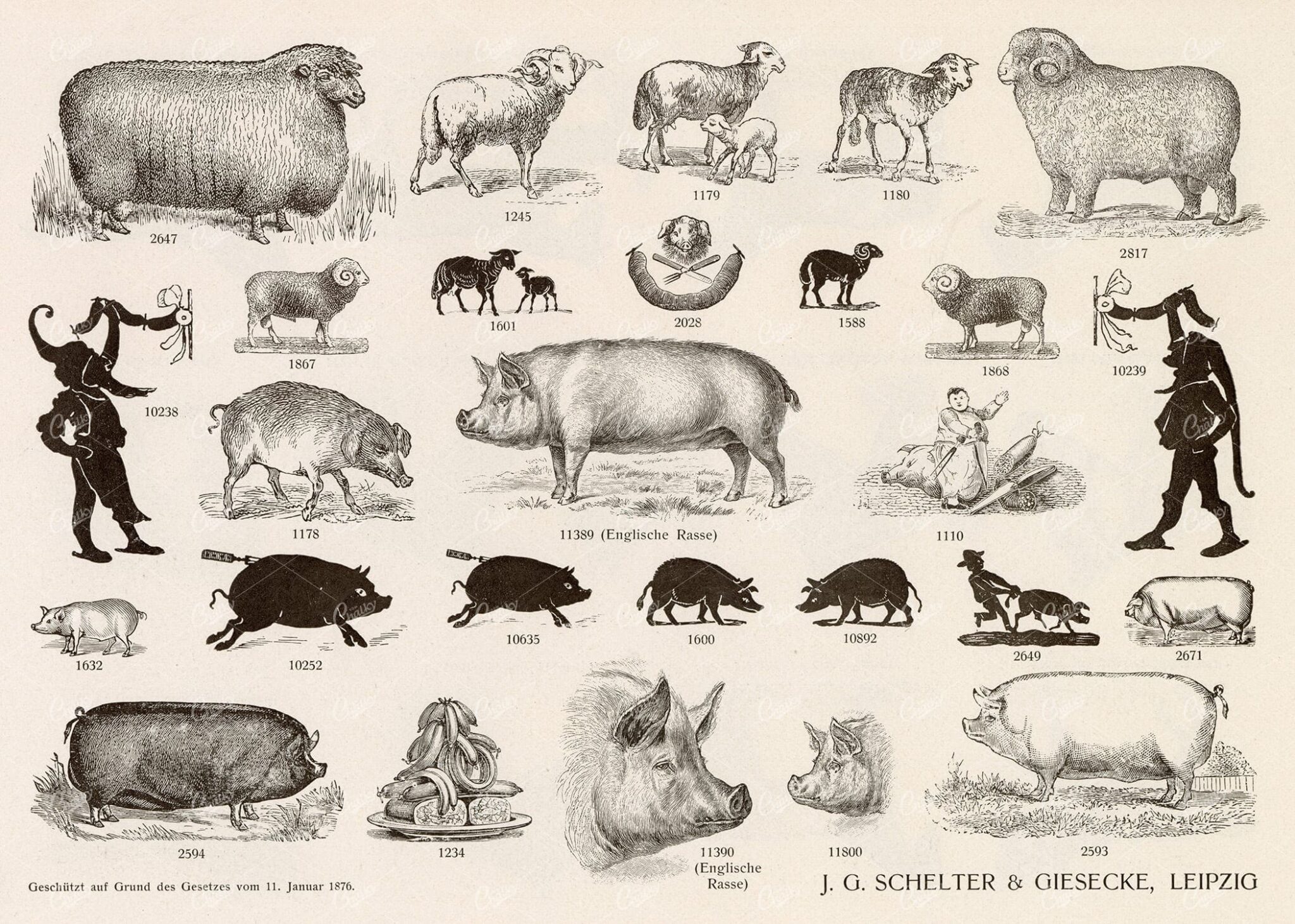 MISCELLANEOUS Selection of Vintage Farm Animal / Pig and Sheep Related Design Elements