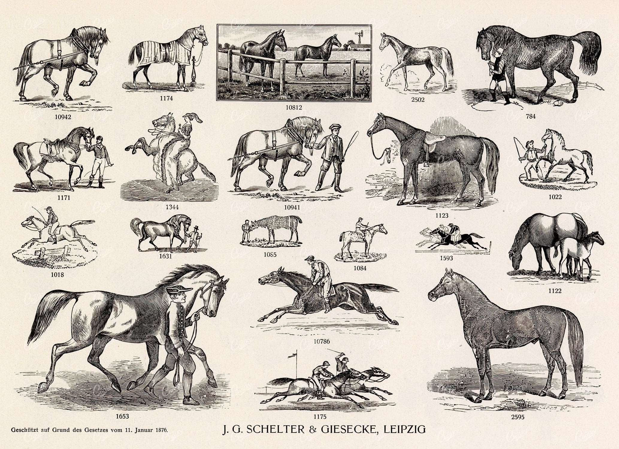 MISCELLANEOUS Selection of Vintage Horse Related Design Elements