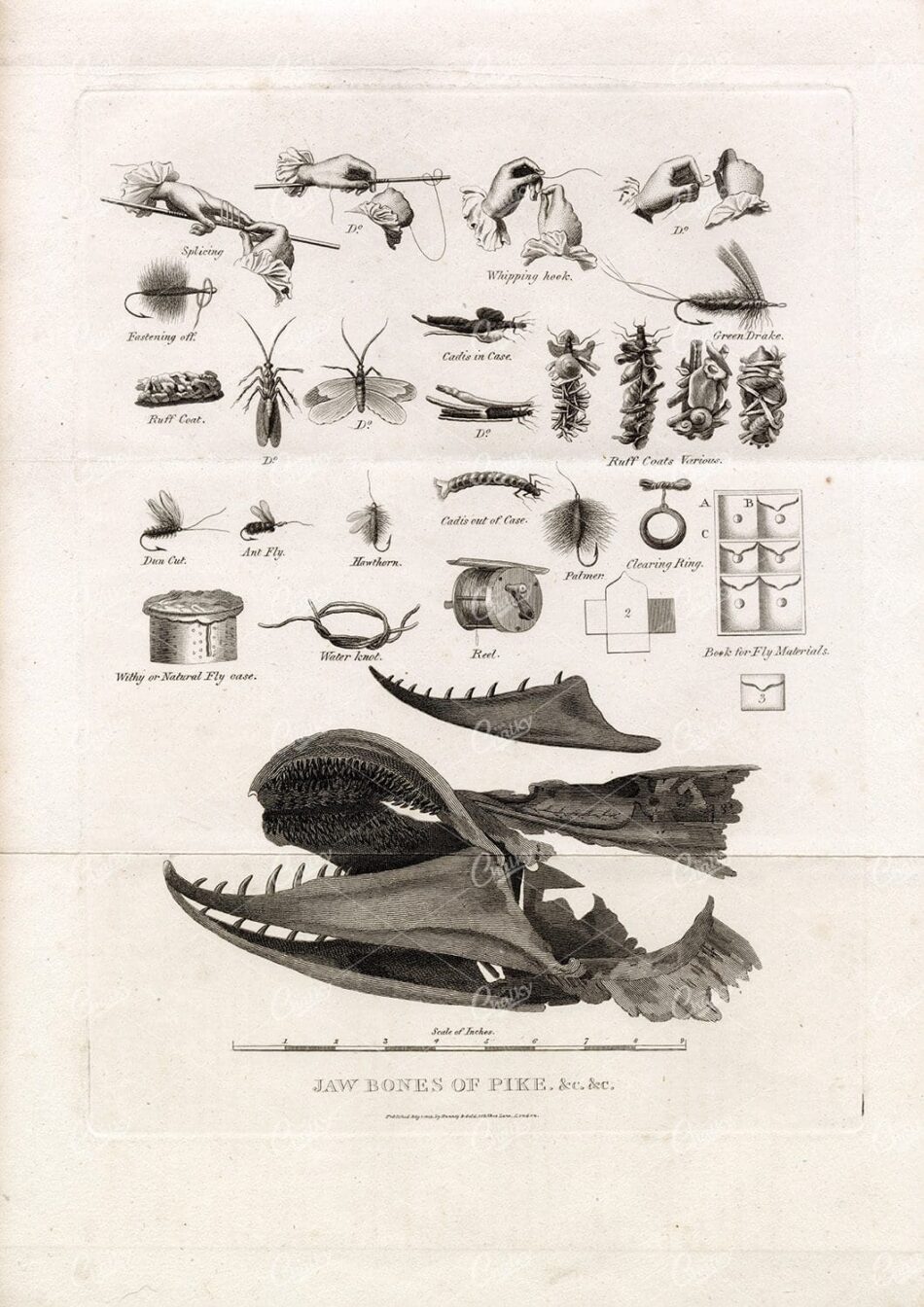ANTIQUE Rural Sports Engraving on Folded Paper - Various Fishing Gear