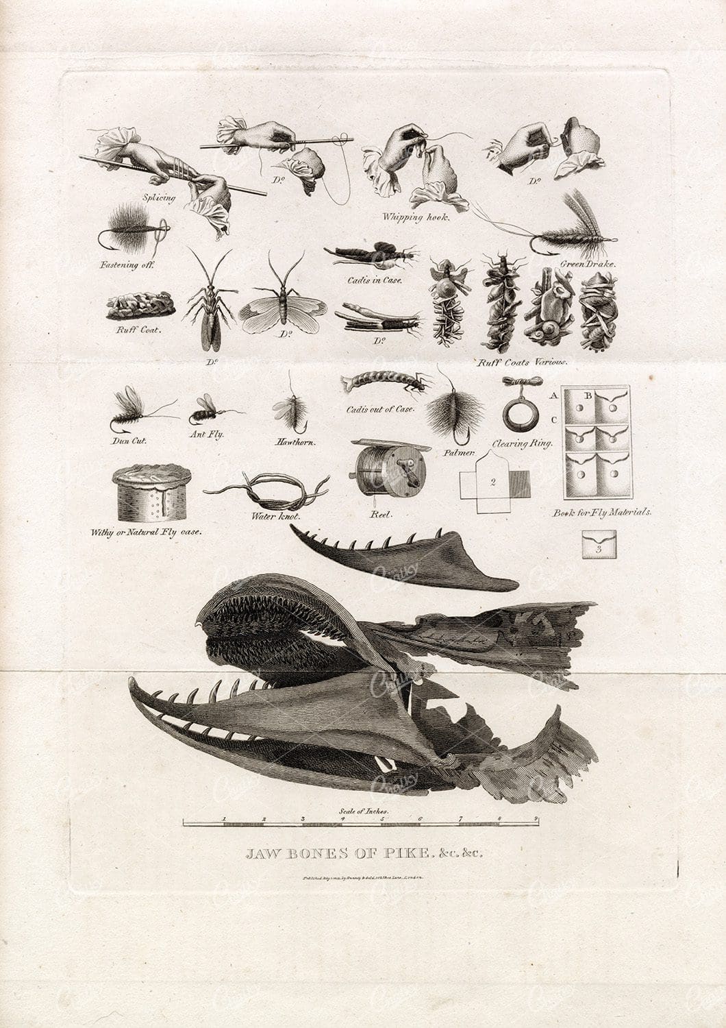 ANTIQUE Rural Sports Engraving on Folded Paper - Various Fishing Gear