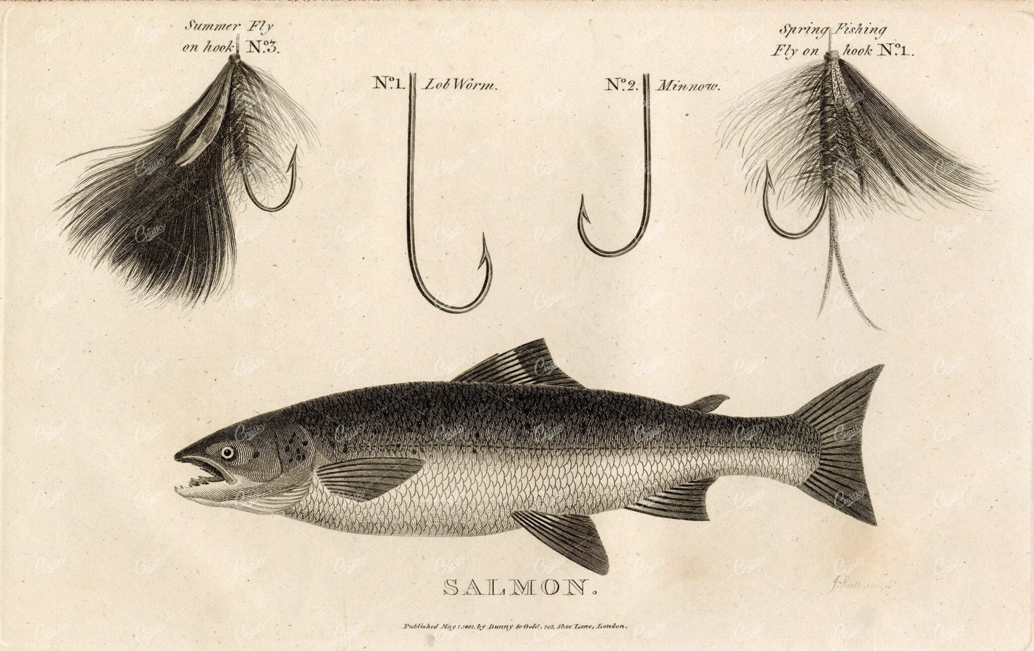 ANTIQUE Rural Sports Engraving - Salmon with Fly Fishing Gear