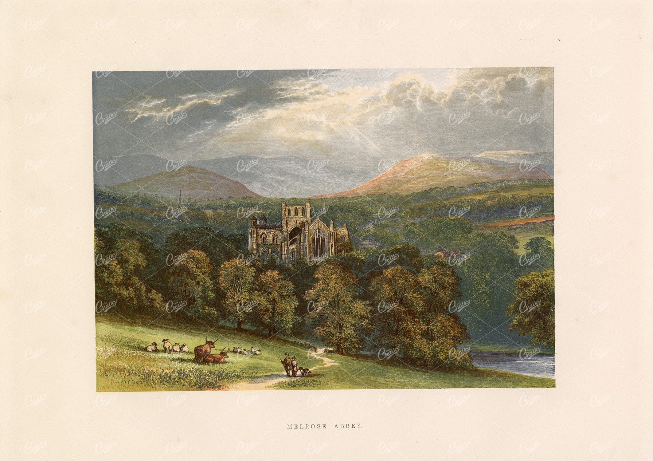 MELROSE ABBEY - Full Colour Antique Landscape Print - 1882