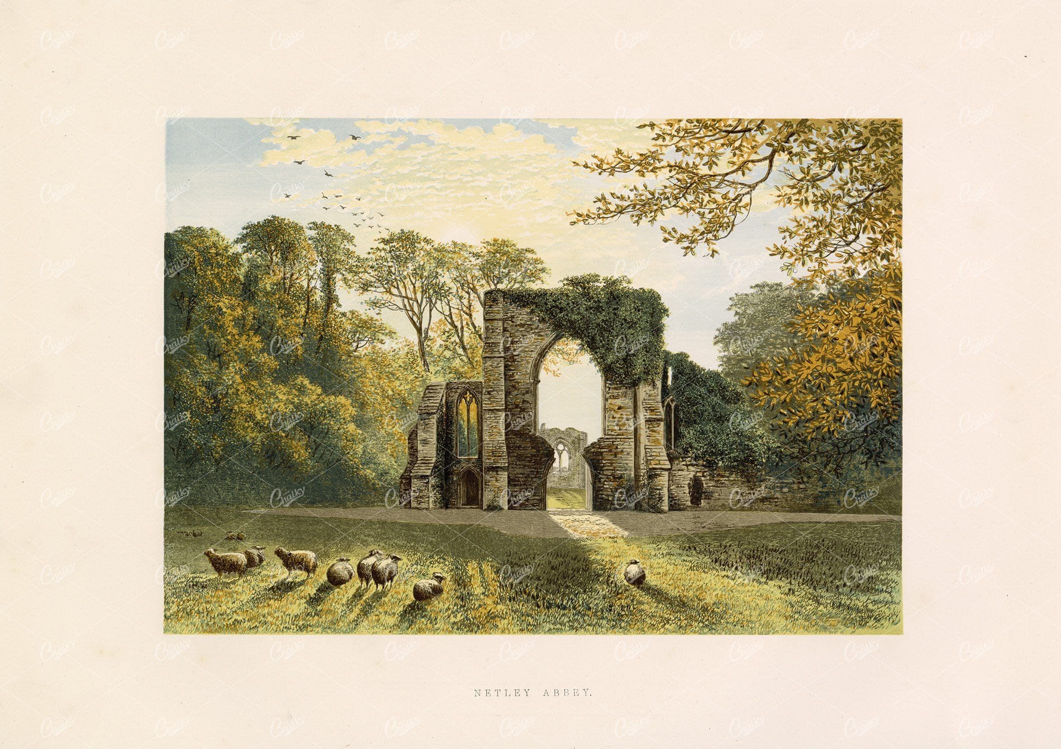 NETLEY Abbey - Vintage 1882 Landscape Colour Print - Great Britain