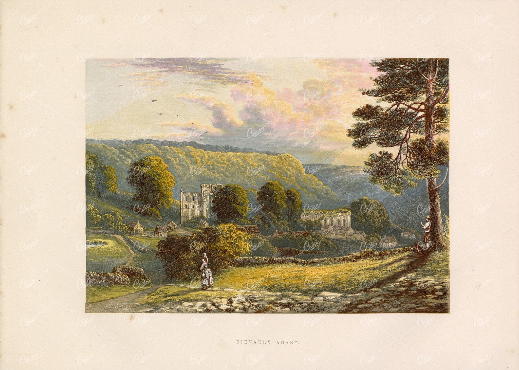 RIEVAULX Abbey - Antique Landscape Print - 1882 Great Britain