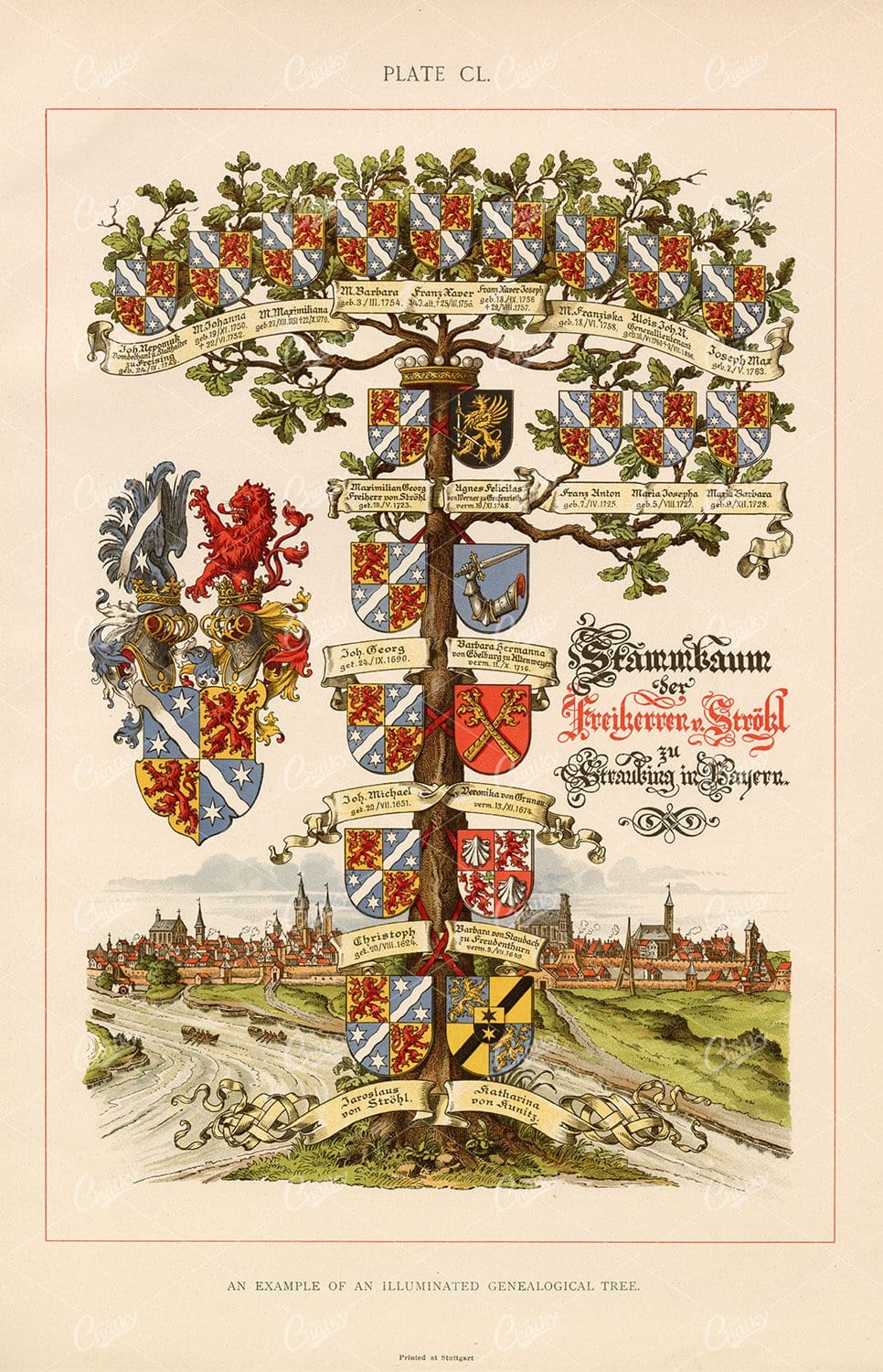1904 Heraldry Art - Example of an Illuminated Genealogical Tree