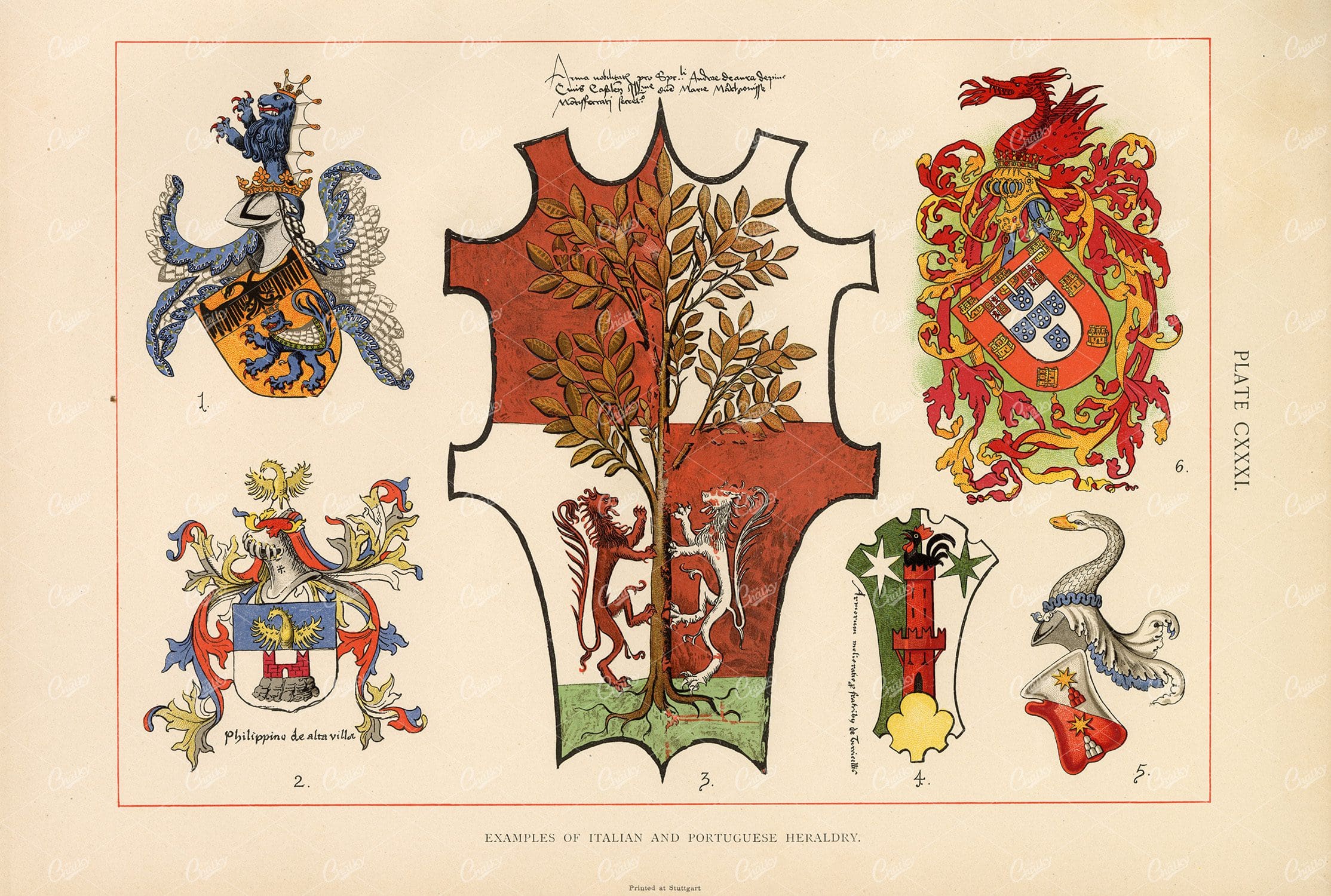 Antique Examples of Italian and Portuguese Heraldic Artwork - 1904 Print
