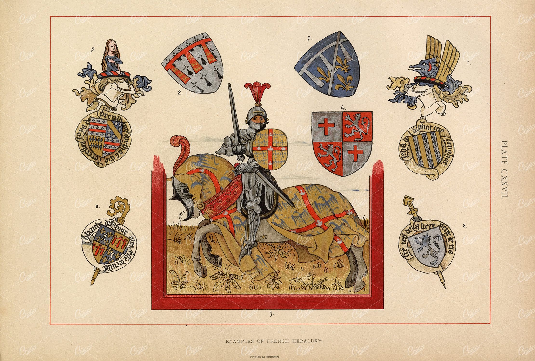 1904 Vintage Colour Print - Examples of French Heraldry