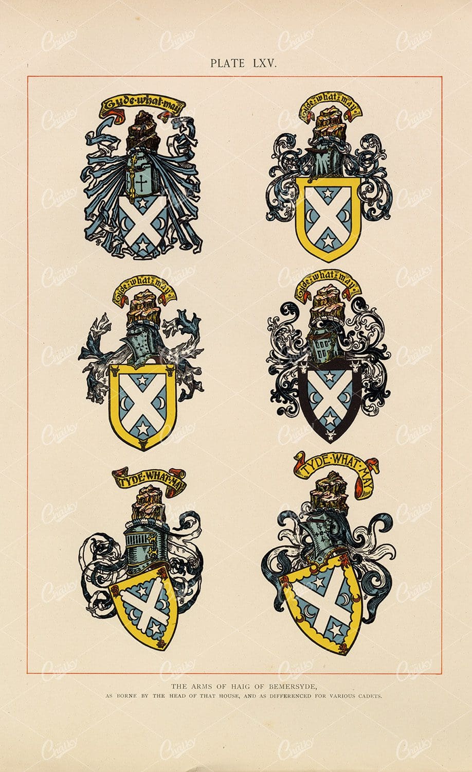 The Arms of Haig of Bemersyde - 1904 Vintage Heraldry Print
