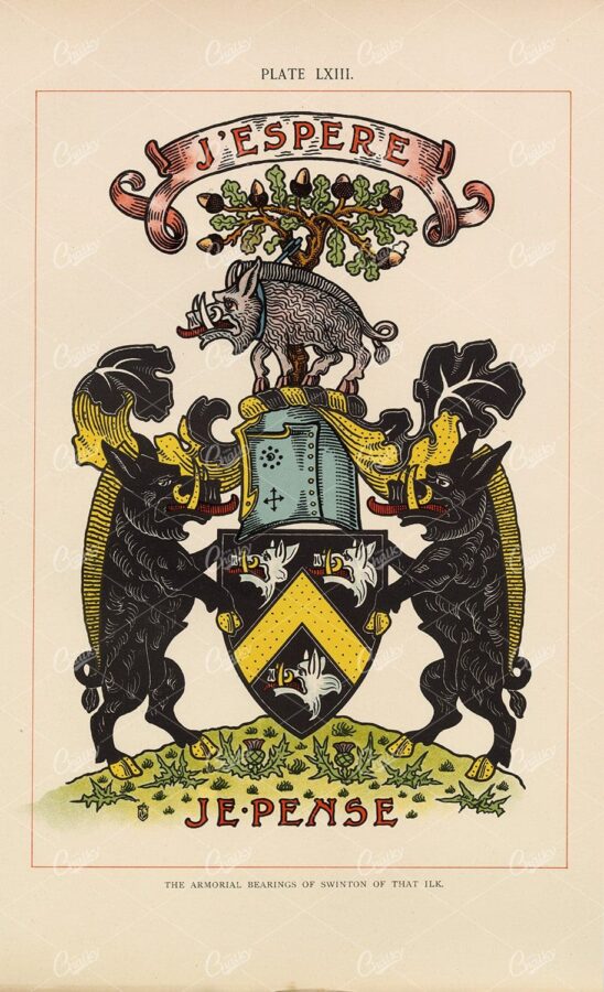 The Armorial Bearings of Swinton - 1904 Vintage Heraldry Print