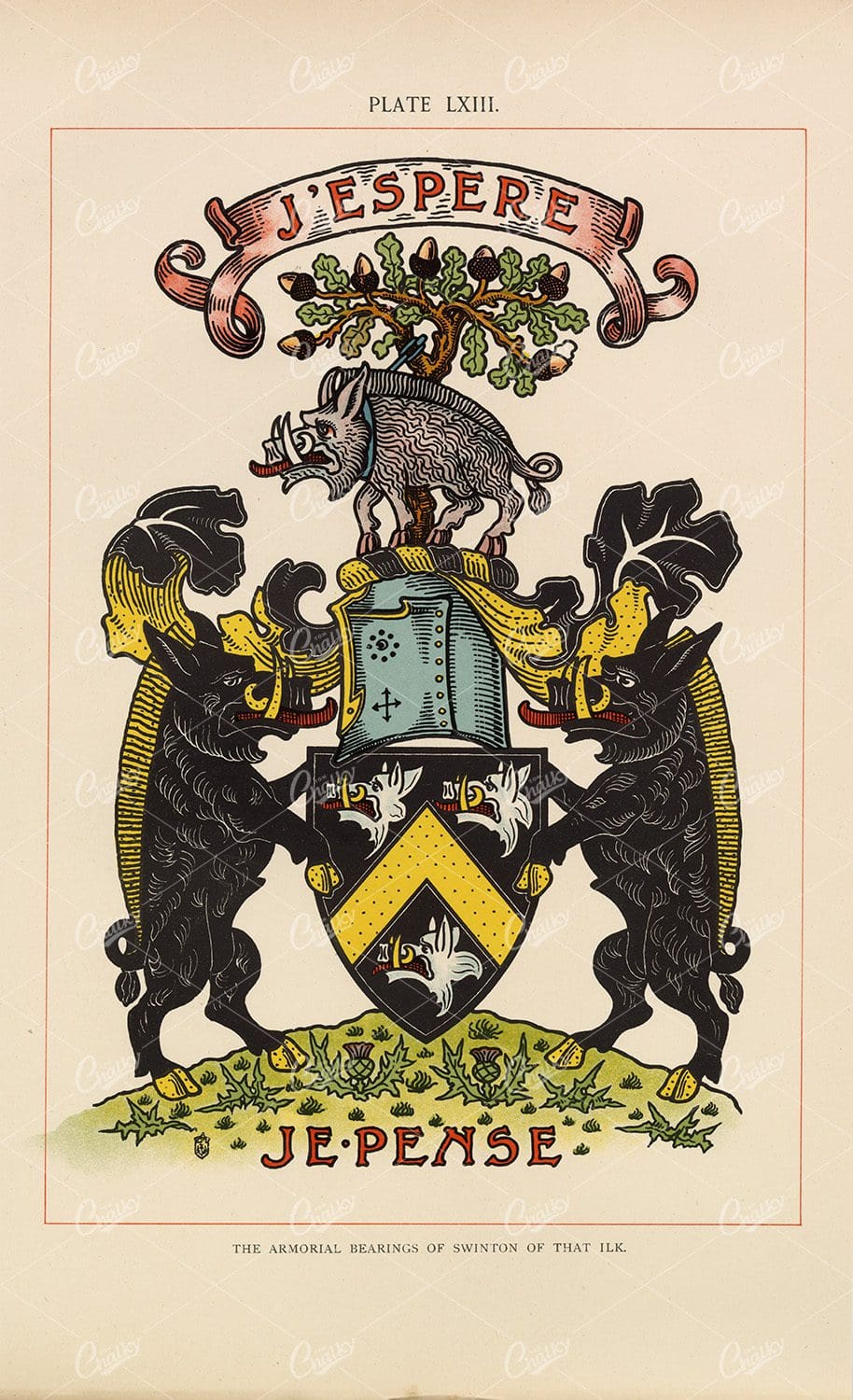 The Armorial Bearings of Swinton - 1904 Vintage Heraldry Print
