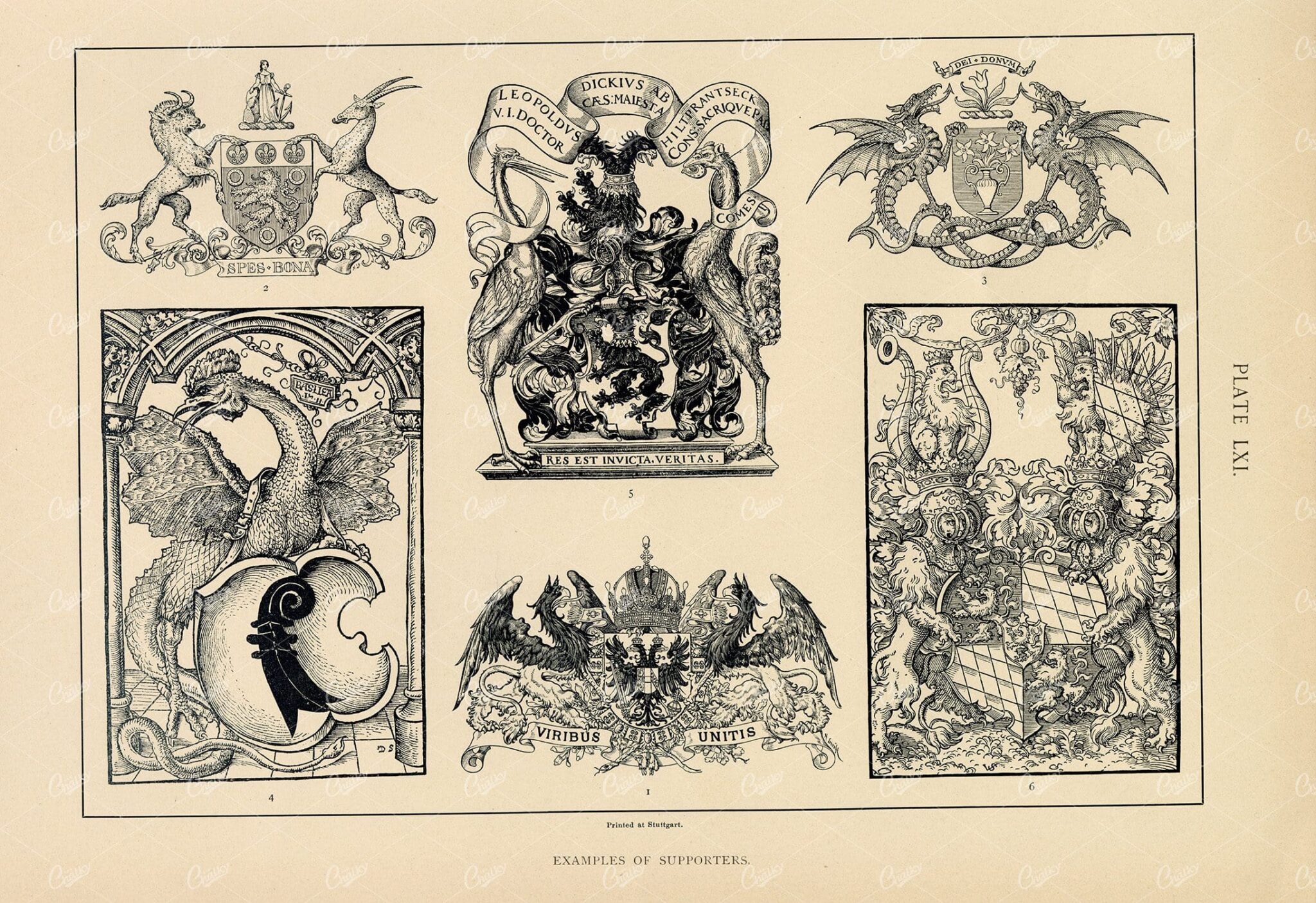 1904 Vintage Heraldry Print - Examples of Supporters