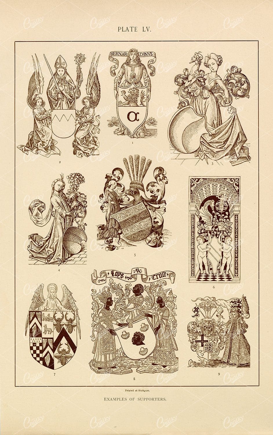 Examples of supporters - 1904 Vintage Heraldry Print