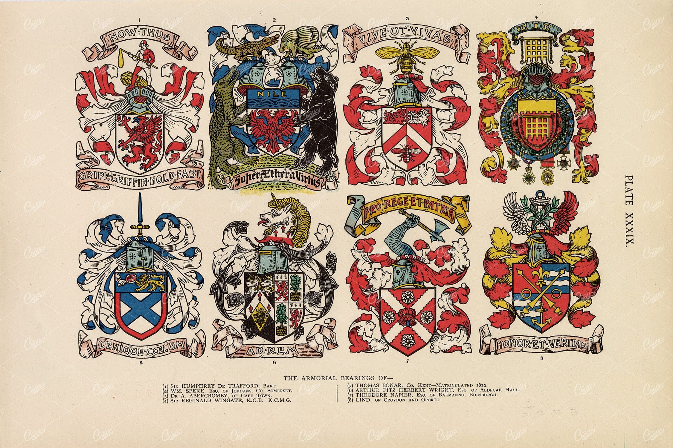 Vintage Heraldry Coloured Print 1904 - Armorial Bearings