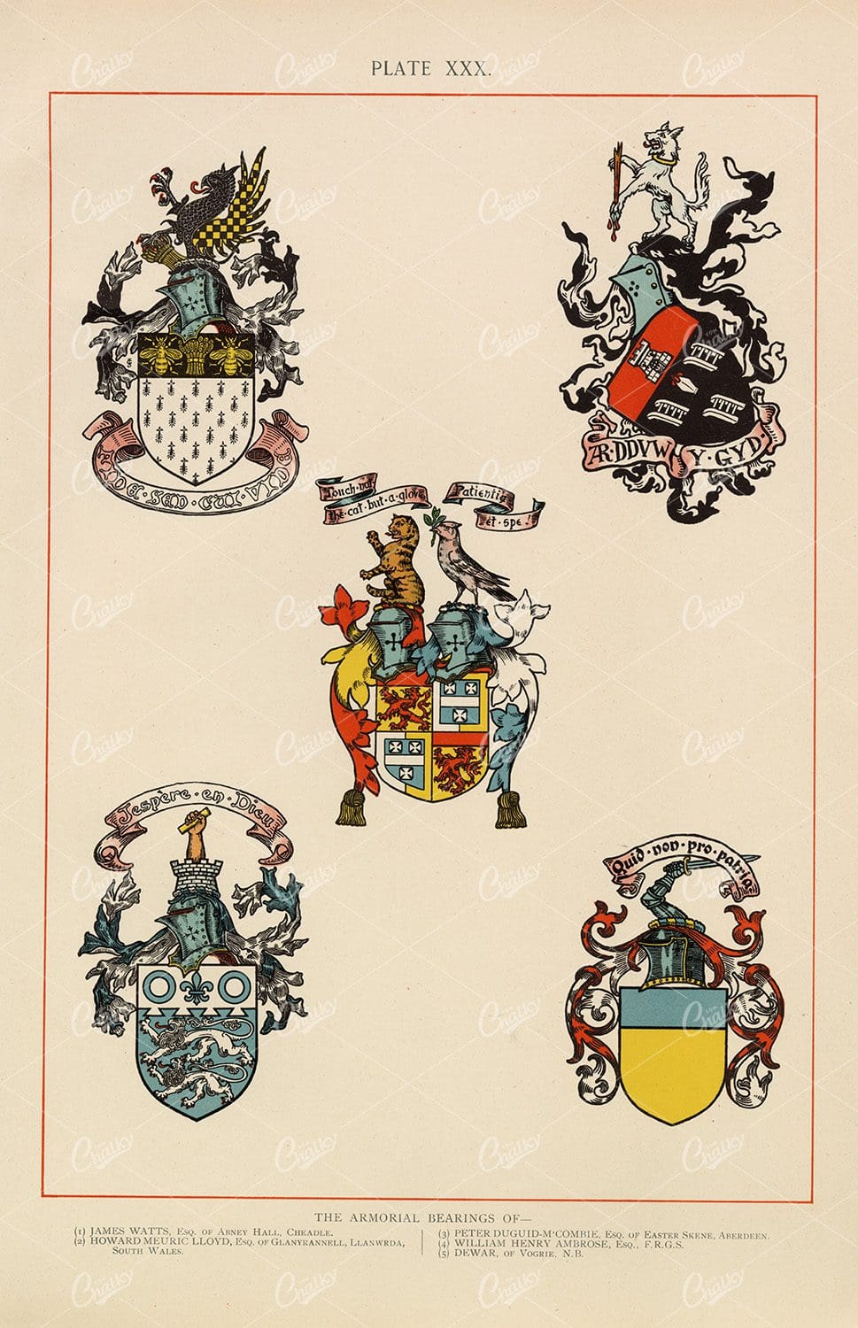Vintage Heraldry Coloured Print 1904 - Armorial Bearings