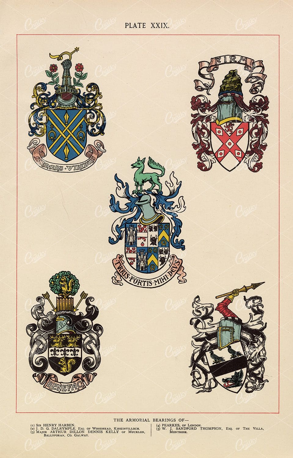 Various Armorial Bearings - 1904 Vintage Heraldry Print