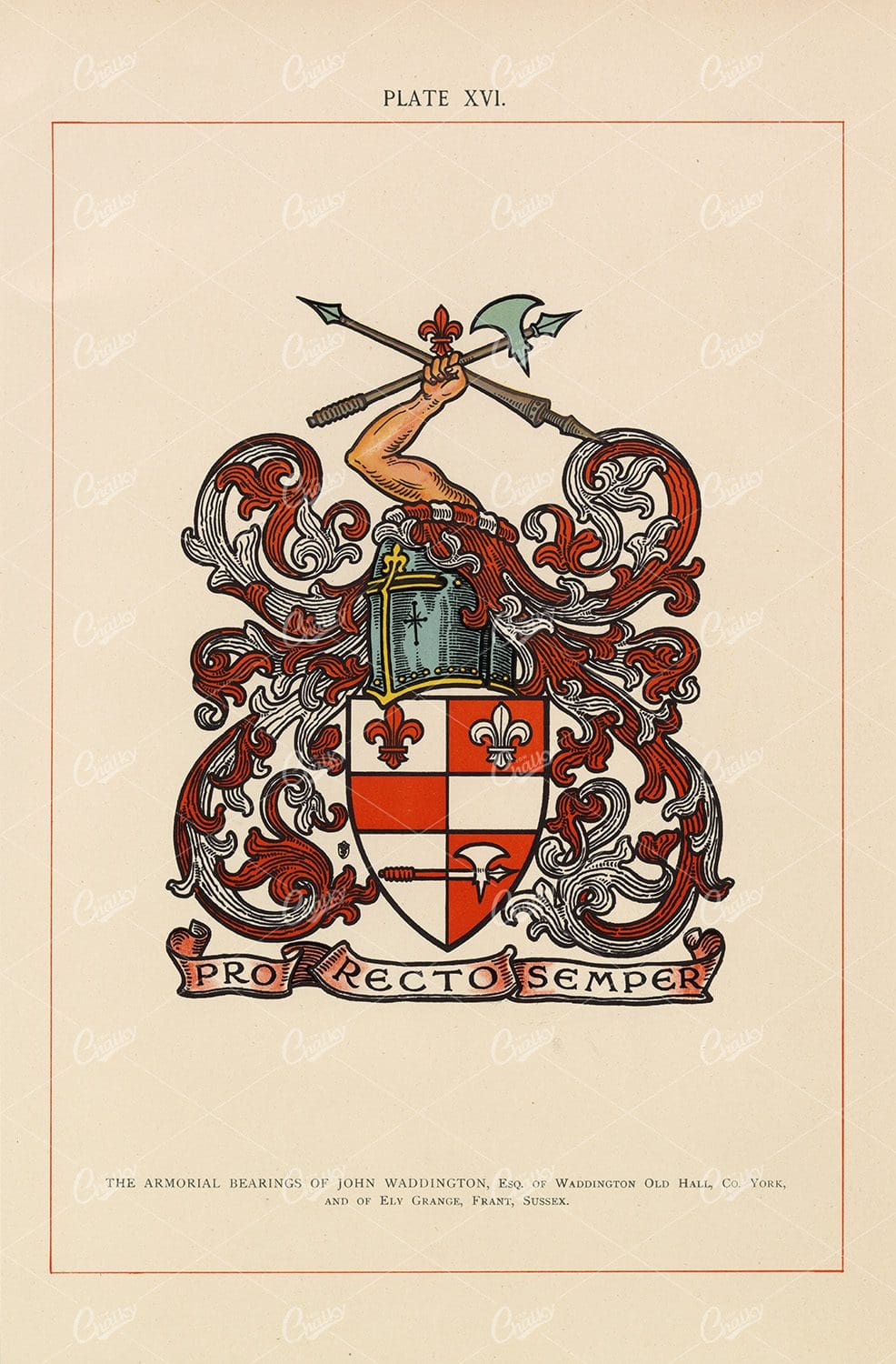 The Armoral Bearings of John Waddington - 1904 Heraldry Print