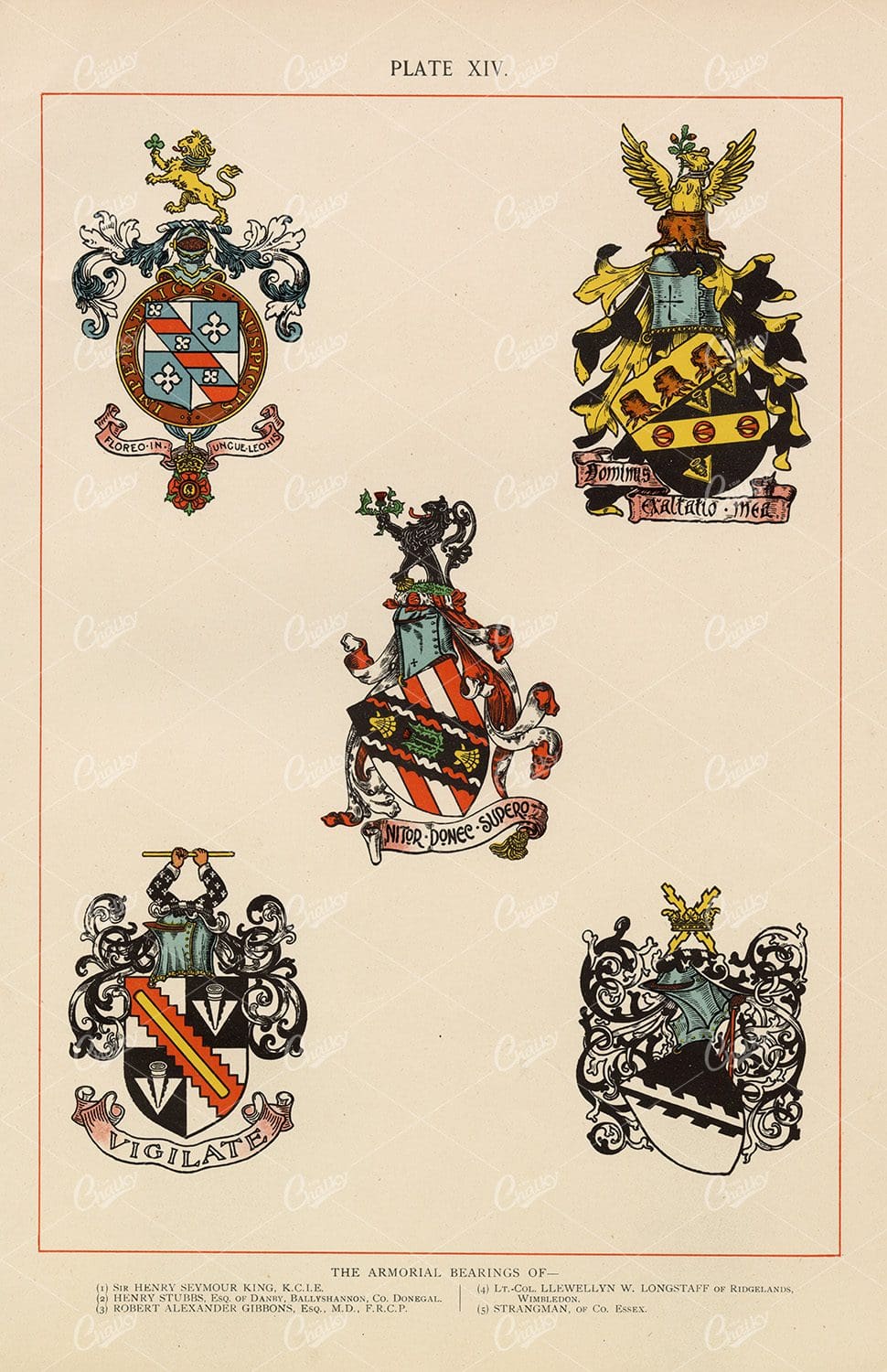 Heraldry Vintage Coloured Print 1904 - Armorial Bearings